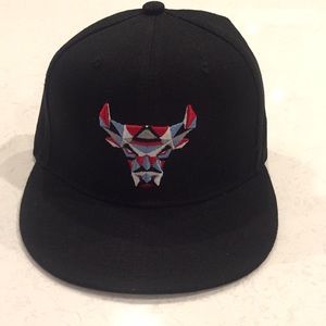 Rare Chicago Bulls artist series SnapBack